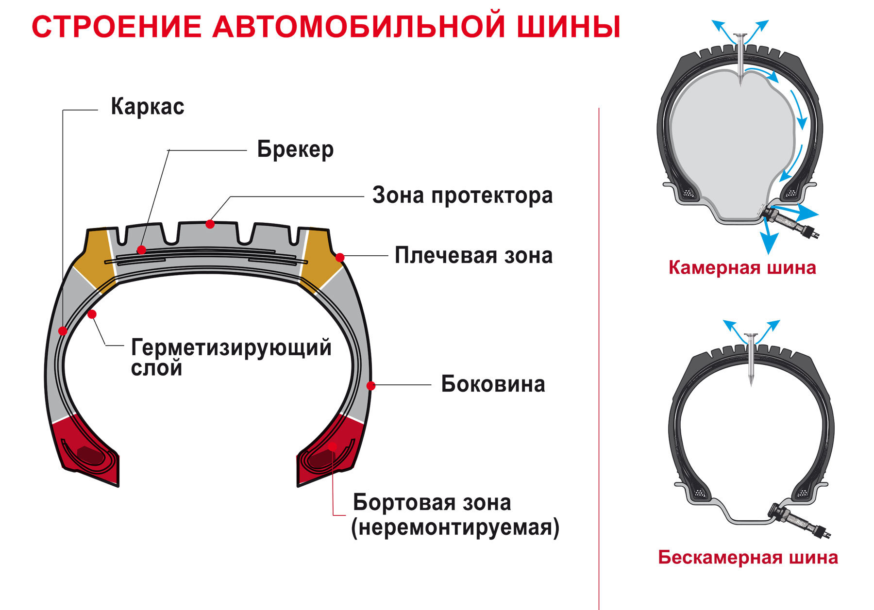 Камерная покрышка