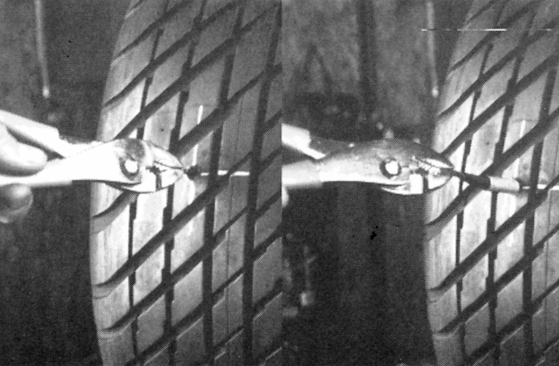 19 19